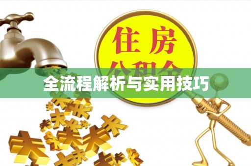 永昌全流程解析与实用技巧