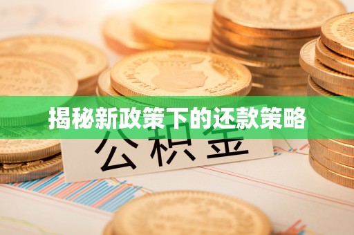 永昌揭秘新政策下的还款策略