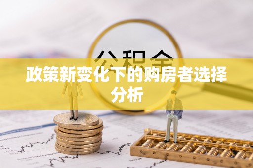 永昌政策新变化下的购房者选择分析